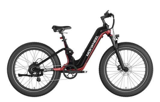 MOKWHEEL Obsidian ST Electric Bike 1000w 48V 20AH Torque Sensor