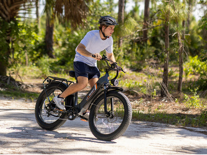 Jasion Thunder   - Step Thru 750W 48V Fat Tire eBike
