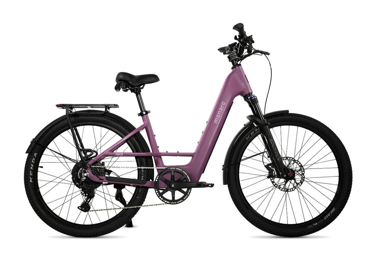 Monarc Tracer Commuter Cruiser 750w Touchscreen - 2 Batteries (Copy)
