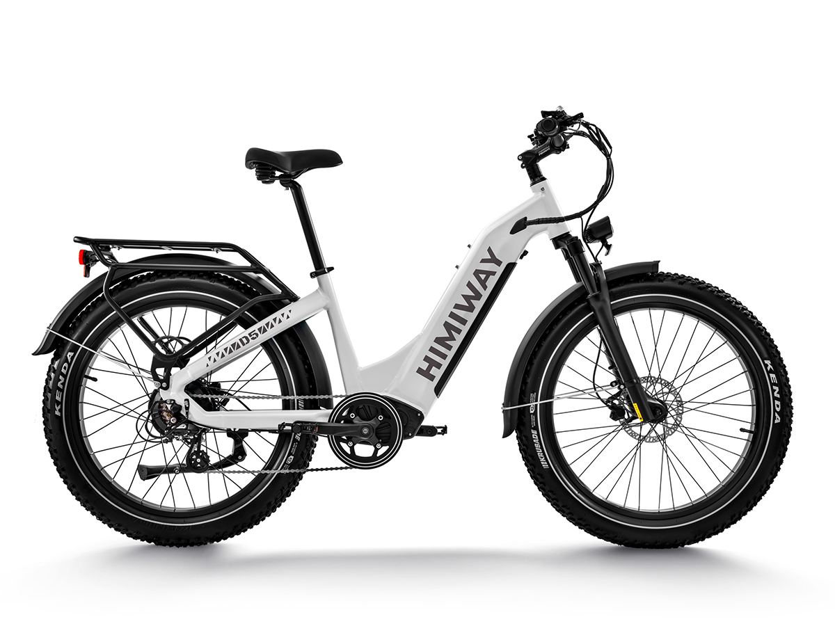 Himiway Zebra All Terrain Step Thru Electric Bike 48V 20Ah 750W