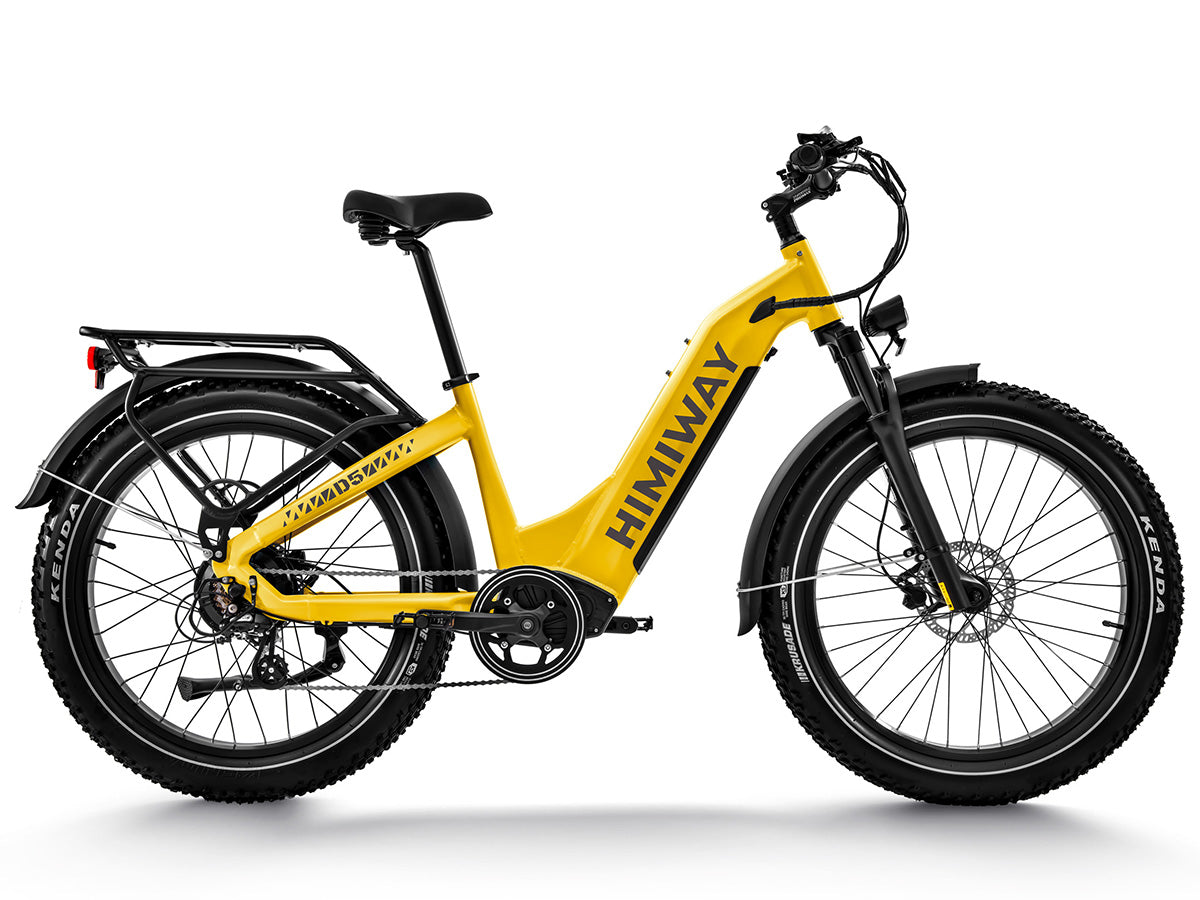 Himiway Zebra All Terrain Step Thru Electric Bike 48V 20Ah 750W