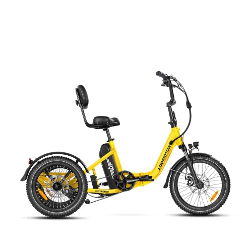 Addmotor CITYTRI E-310 Electric Trike - 3 Sizes